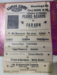 source: http://luchadb.com/posters/uploads/20251107A/690e55df70a89.png