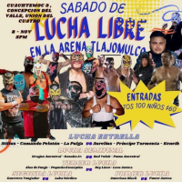 source: http://luchadb.com/posters/uploads/20251109A/6910ba5d495fb.png