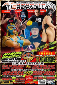 source: http://luchadb.com/posters/uploads/20251109A/6910b99082f1c.png