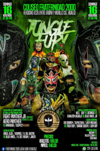 source: http://luchadb.com/posters/uploads/20251109A/6910b9d2ce366.png