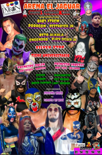 source: http://luchadb.com/posters/uploads/20251109B/6910bac87b54c.png