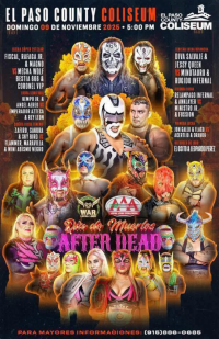 source: http://luchadb.com/posters/uploads/20251109C/69112b98a9278.png