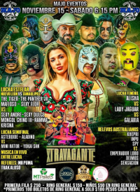 source: http://luchadb.com/posters/uploads/20251109C/691131032d917.png