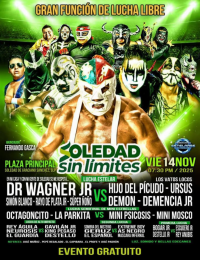 source: http://luchadb.com/posters/uploads/20251110A/69120ea923b64.png