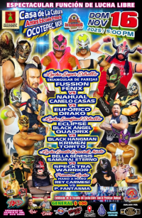 source: http://luchadb.com/posters/uploads/20251111B/6913db6e5fd18.png