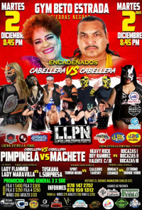 source: http://luchadb.com/posters/uploads/20251113A/691631866f54b.png