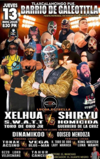 source: http://luchadb.com/posters/uploads/20251113B/691696c1d4c93.png