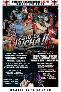 source: http://luchadb.com/posters/uploads/20251113B/691696dc9b55e.png