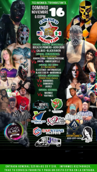 source: http://luchadb.com/posters/uploads/20251113B/691696edccbf2.png