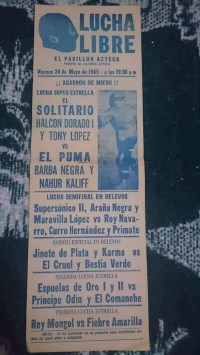 source: http://luchadb.com/posters/uploads/R-20251113-3/FB_IMG_1762960891169.jpg