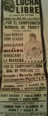 source: http://luchadb.com/posters/uploads/R-20251113-4/FB_IMG_1763031348065.jpg