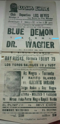 source: http://luchadb.com/posters/uploads/R-20251113-5/FB_IMG_1763032297961.jpg