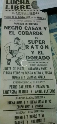 source: http://luchadb.com/posters/uploads/R-20251113-5/FB_IMG_1763032611272.jpg