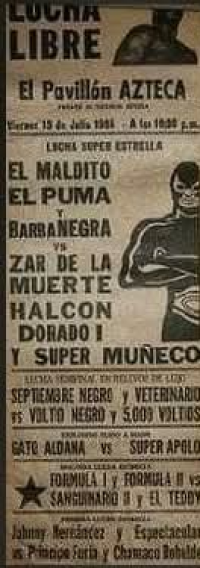 source: http://luchadb.com/posters/uploads/R-20251113-6/01.png