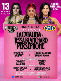 source: http://luchadb.com/posters/uploads/20251114A/6917724061741.png