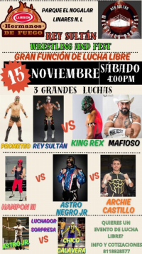 source: http://luchadb.com/posters/uploads/20251116A/691a07b1392fc.png