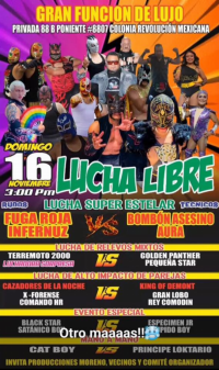 source: http://luchadb.com/posters/uploads/20251116B/691a08def0b05.png