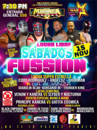 source: http://luchadb.com/posters/uploads/20251116B/691a09302ab3a.png