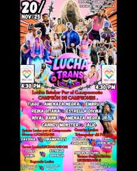 source: http://luchadb.com/posters/uploads/20251117A/691b307390651.png