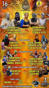 source: http://luchadb.com/posters/uploads/20251117A/691b30ad80113.png