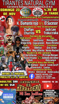 source: http://luchadb.com/posters/uploads/20251119A/691de91d770ab.png