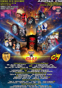 source: http://luchadb.com/posters/uploads/20251119A/691de921be6d3.png