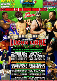 source: http://luchadb.com/posters/uploads/20251119A/691deb94df378.png