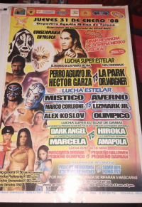 source: http://luchadb.com/posters/uploads/R-20251118-2/FB_IMG_1763209557318.jpg