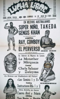 source: http://luchadb.com/posters/uploads/R-20251118-3/FB_IMG_1763258676669.jpg
