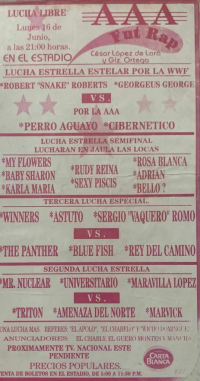 source: http://luchadb.com/posters/uploads/R-20251118-3/FB_IMG_1763290075486.jpg