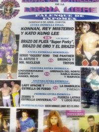 source: http://luchadb.com/posters/uploads/R-20251118-3/FB_IMG_1763290300764.jpg