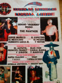 source: http://luchadb.com/posters/uploads/R-20251118-4/FB_IMG_1763290818877.jpg
