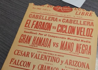 source: http://luchadb.com/posters/uploads/Rob_2026020412/Rob_2026020412_07.png