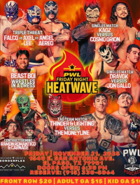 source: http://luchadb.com/posters/uploads/20251123A/69234caeb17fe.png