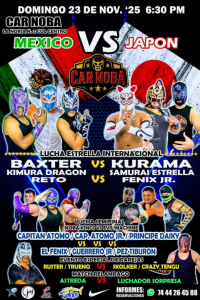 source: http://luchadb.com/posters/uploads/20251123A/692362e054ef4.png