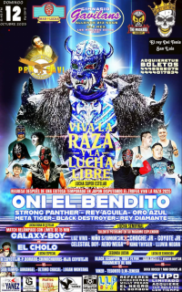 source: http://luchadb.com/posters/uploads/20251124A/20251124_17640118313857.png