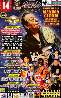 source: http://luchadb.com/posters/uploads/20251124A/20251124_17640118331364.png