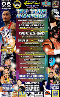 source: http://luchadb.com/posters/uploads/20251124A/20251124_17640118479519.png