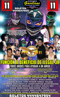 source: http://luchadb.com/posters/uploads/20251124A/20251124_17640118618185.png