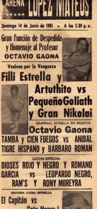 source: http://luchadb.com/posters/uploads/R_20251124-01/FB_IMG_1763463033988.jpg