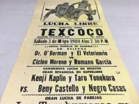 source: http://luchadb.com/posters/uploads/R_20251124-03/FB_IMG_1763465127754.jpg