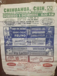 source: http://luchadb.com/posters/uploads/R_20251124-03/FB_IMG_1763467059428.jpg