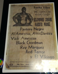 source: http://luchadb.com/posters/uploads/R_20251124-03/FB_IMG_1763467096702.jpg