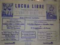 source: http://luchadb.com/posters/uploads/R_20251124-05/FB_IMG_1763501712880.jpg