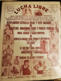 source: http://luchadb.com/posters/uploads/R_20251124-05/FB_IMG_1763501751554.jpg