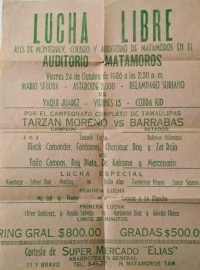 source: http://luchadb.com/posters/uploads/R_20251124-12/FB_IMG_1763729739859.jpg