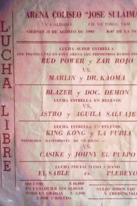 source: http://luchadb.com/posters/uploads/R_20251124-14/FB_IMG_1763730542383.jpg