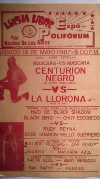 source: http://luchadb.com/posters/uploads/R_20251124-14/FB_IMG_1763731000516.jpg