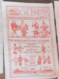 source: http://luchadb.com/posters/uploads/R_20251124-15/FB_IMG_1763778098176_2.jpg