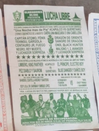 source: http://luchadb.com/posters/uploads/R_20251124-15/FB_IMG_1763778098176_3.jpg